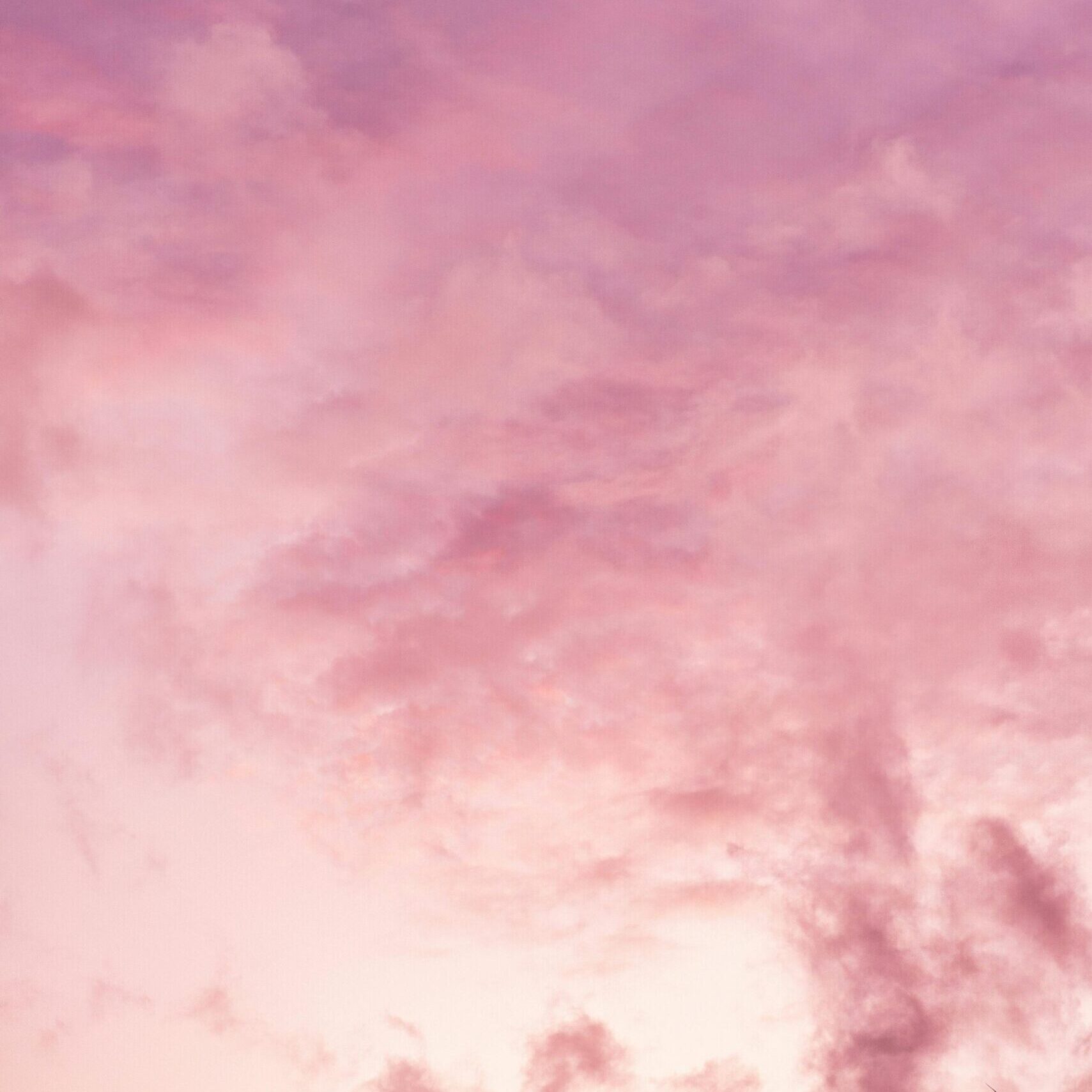 Pink sky